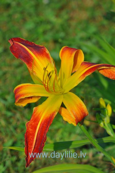 Out of Bounds (Santa Lucia 2005)